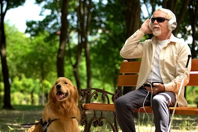 Visually impaired man in earphones listening music in park, guide dog resting by