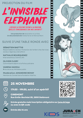 agenda invisible elephant 2026 reiso 170