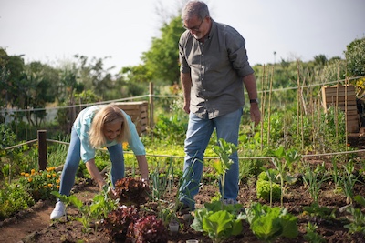 agenda reste jardin hetsl 2026 reiso 400