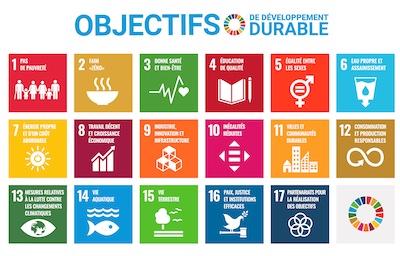 ODD ONU appel contribution dossier 2023 durabilite reiso 400