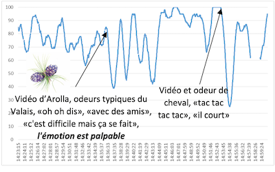 giaciniti illustration 2