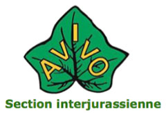 Avivo Jura