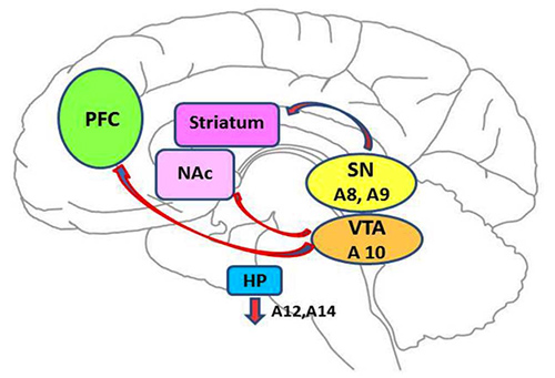 Figure1